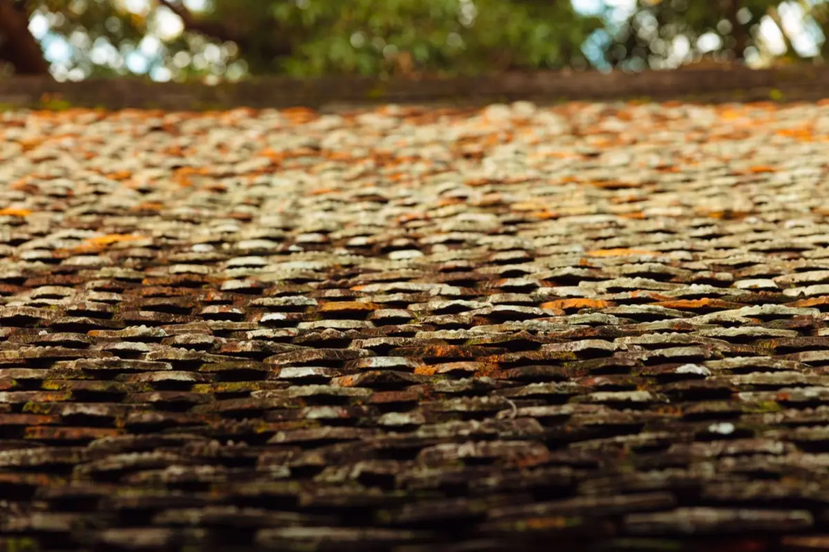 Roof Leak Repair in New Braunfels, TX